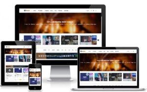 Wordpress主题：日主题ripro虚拟资源主题8.9开心版/免授权-源码博士