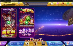 图片[2]-【钻石会员免费】网狐系列拉客电玩城-源码博士