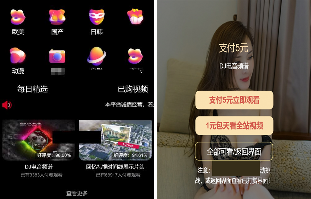 【钻石会员免费】最新版付费视频打赏程序源码 多模板+全新UI 带包天+可扣量+代理 非云赏V系列-源码博士